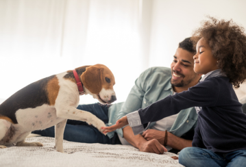 Protégez votre animal de compagnie des dangers de la maison en 7 étapes simples